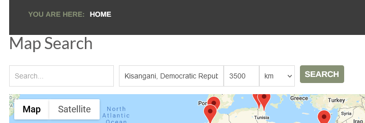 map search field